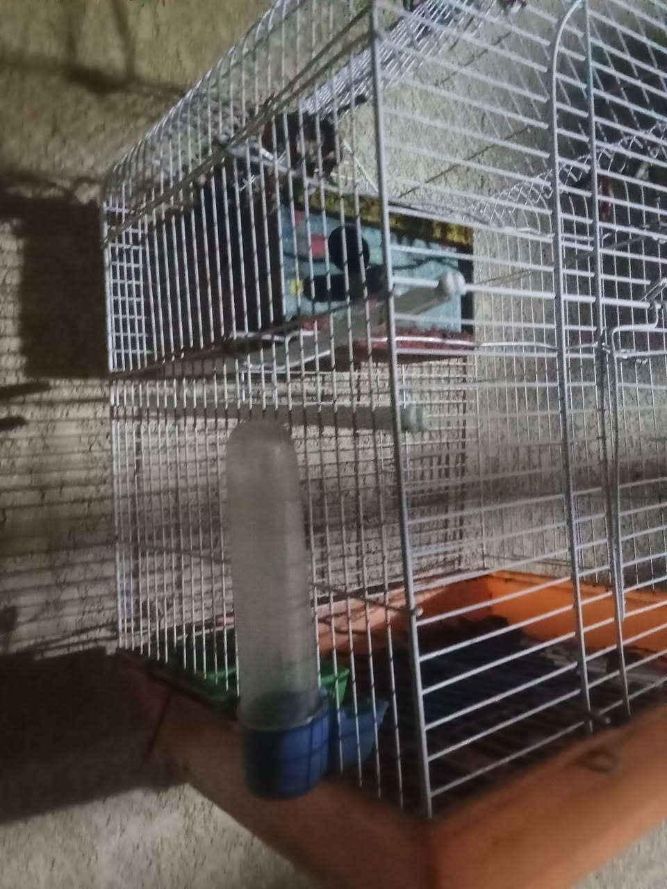 للبيع قفص مع غرفه داخليه و ملحقات السعر 30 وبي مجال


**إذا كنت صاحب هذا الإعلان وتريد حذفه لأي سبب، رجاءا أرسل رسالة إلى الدعم الفني**