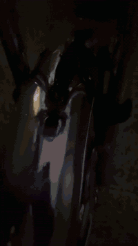 للبيع تايكر2020 كلو شرط سعر 500 وبي مجال استفسار اتصل عل رقم *********** غير متواجد عل فيس
