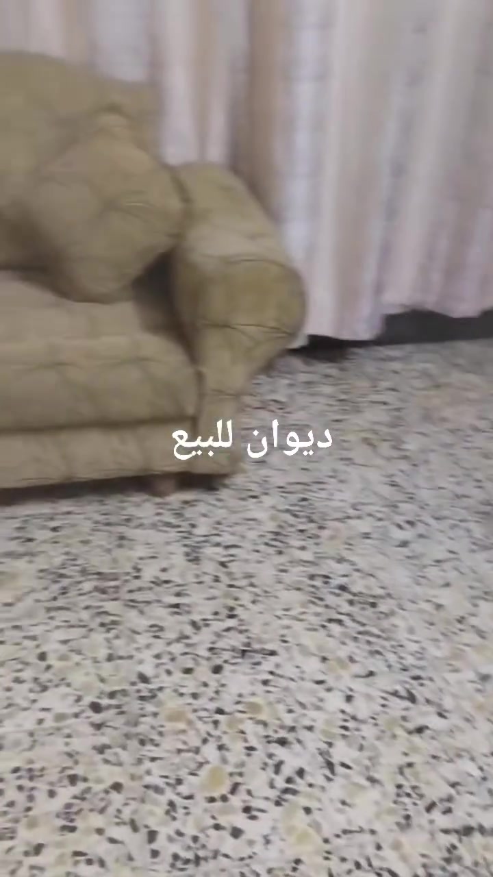 ديوان للبيع


**إذا كنت صاحب هذا الإعلان وتريد حذفه لأي سبب، رجاءا أرسل رسالة إلى الدعم الفني**