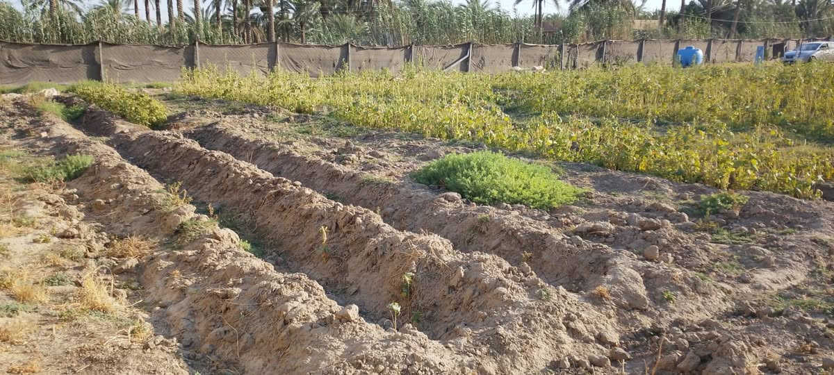 السلام عليكم دونم للبيع في فرع المصلخ ثاني قطعه تبعد عن للشارع 20متر متوفر كافه للخدما ت من ماء و كهرباء ومولد سحب مسيج بالكامل واذا تريد نص دونم هم موجود الاتصال على الرقم خاص ماكو ***********
