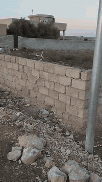 قرية النخوة • ٩٥٠م • أرض زراعية