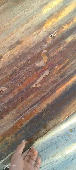 السلام عليكم عندي جينكو قديم نضيف حيل والله طول 185 جينكو المضلع 40 قطعة مكاني بغداد الشراي يتصل على الرقم التالي *********** ومابيهن اي خياس نضيف والله
