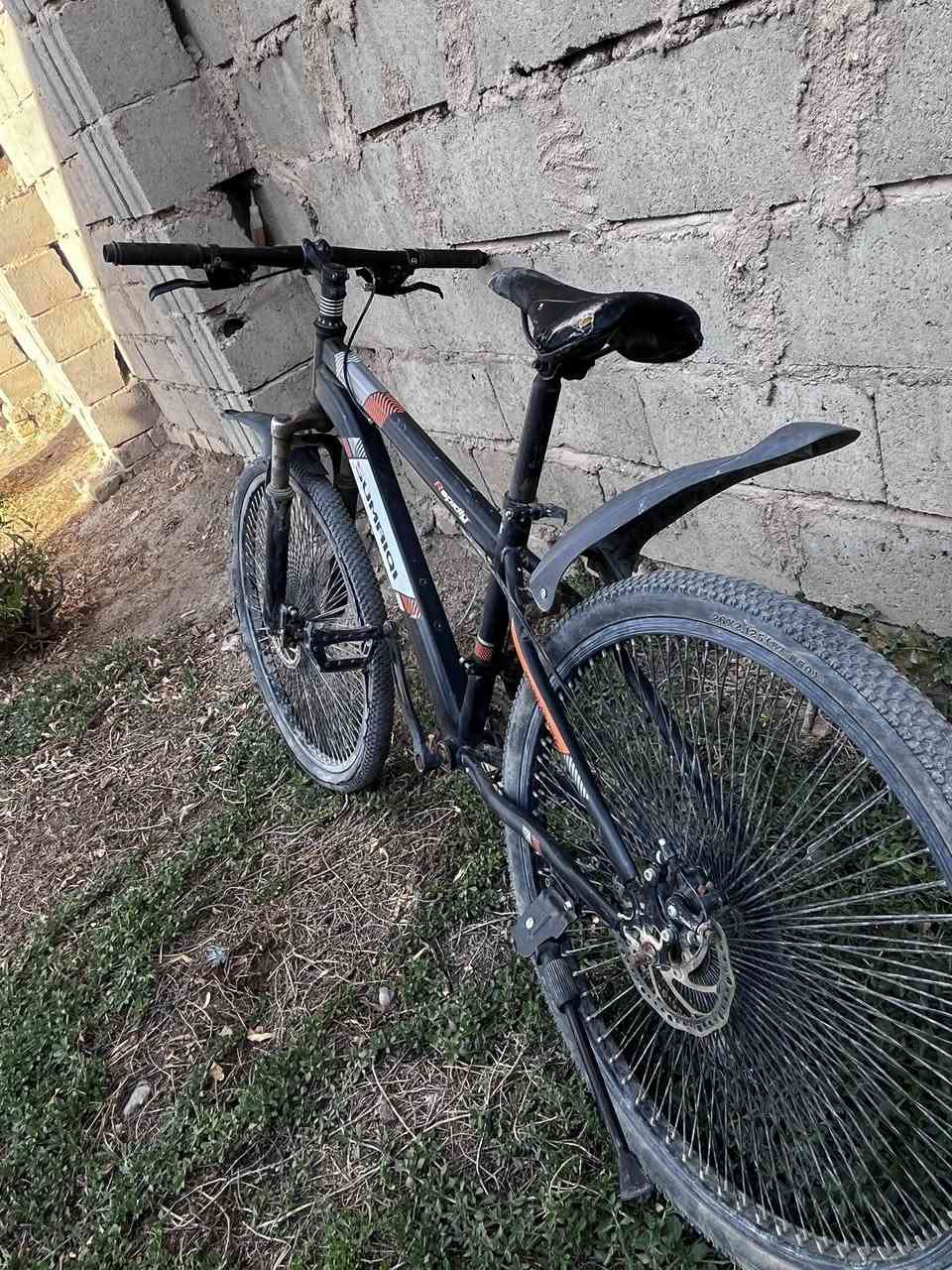 السلام عليكم باسكل جبلي للبيع السعر 65 وبي مجال المكان بابل المحاويل


**إذا كنت صاحب هذا الإعلان وتريد حذفه لأي سبب، رجاءا أرسل رسالة إلى الدعم الفني**