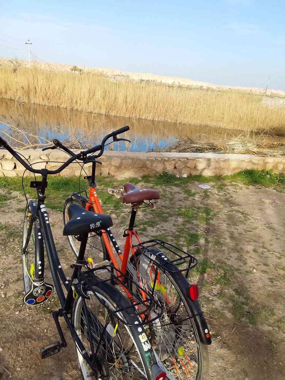 للبيع بايسكل حجم ٢٦كامل من كلشي للبيع او مراوس مكاني حصيبه أو مراوس  بايسكل ياباني


**إذا كنت صاحب هذا الإعلان وتريد حذفه لأي سبب، رجاءا أرسل رسالة إلى الدعم الفني**