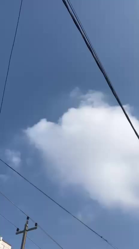 دراجه كفاله عامه شغاله سلف وهنجر كل نقص ما بيها سعر 750 وبيها مجال شيء قليل مكانناب راسلني واتساب***********
