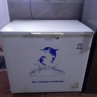 مجمدة • تجميد فول • ع فحص