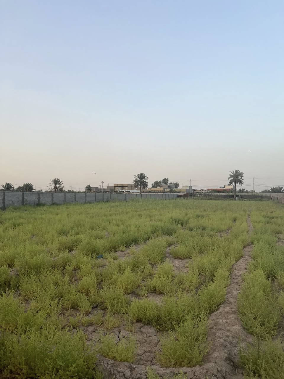 2دونم للبيع طابو زراعي سند 25باسم البائع

عالشارع سنتر مسيج من اربعه جهات

خدمات كامله ماء كهرباء تبليط

الموقع //ورديه داخل منطقه الامام

للاستفسار اكثر الاتصال على الرقم 

***********
