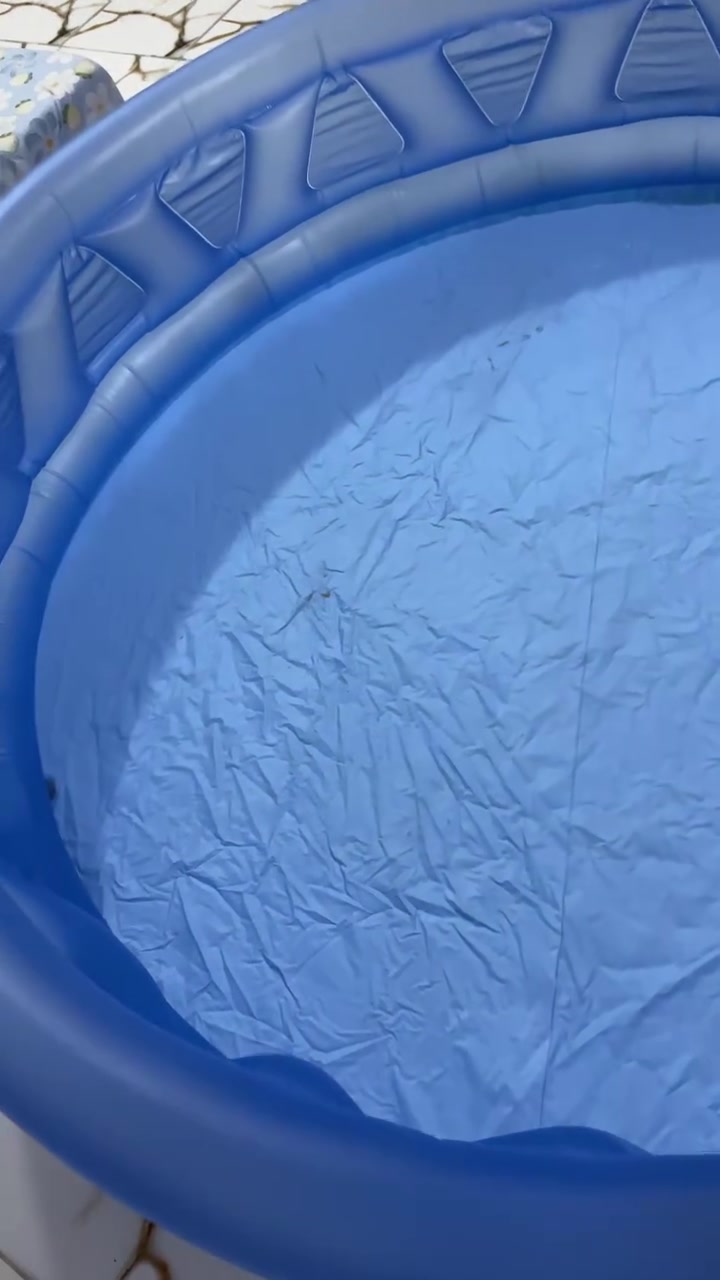 مسبح للبيع نظافة فول ١.٨متر ارتفاع ٤٠سم مع غربي مستعمل


**إذا كنت صاحب هذا الإعلان وتريد حذفه لأي سبب، رجاءا أرسل رسالة إلى الدعم الفني**