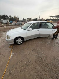 مراوس • قمارة • ديوانية