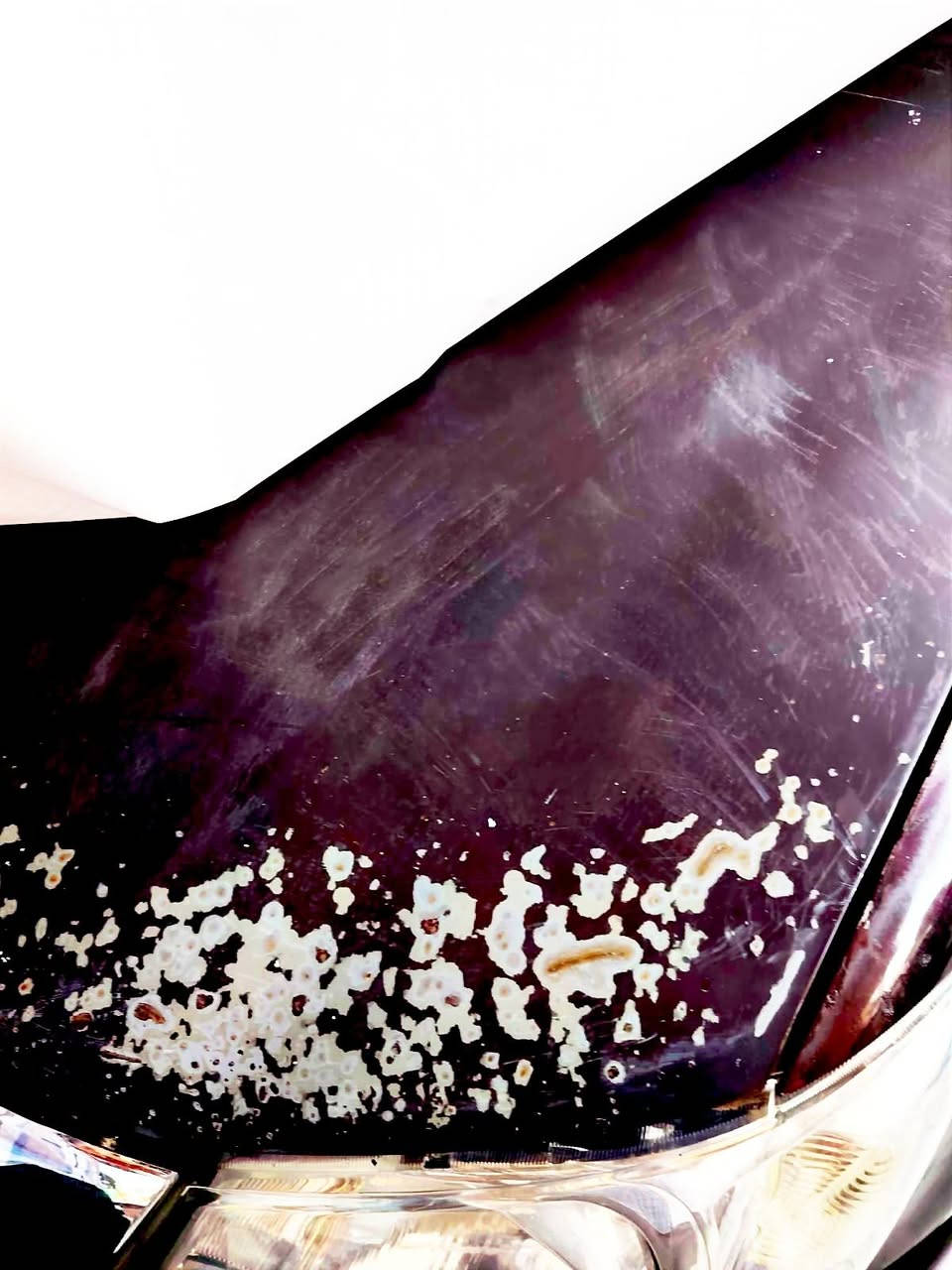 هيلوكس 2006 سعودي رقم دولي ذي قار مكاني ديالى كنعان بسمي سيارة جاهزة من كل شي محرك مفتوح لا تنقيص ولا تبخير سيارة خير من الله تراي وين متريد نشاط فول سيارة بيهة جراد وبيهة صبغ الشراي يتصل او يتفضل خاص او وتساب ادزلة سونار  السعر ١١٥ وبيهة مجال بسيط 
*********** وتساب و اتصال
