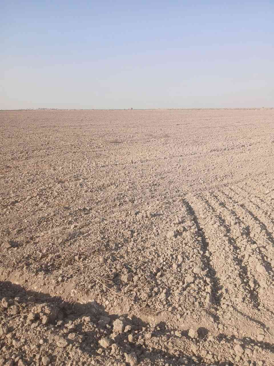 السلام للبيع ٧٠ دونم عقد ال٢٤ الجديد الأرض مستصلحه وقنوات مبطنه صالحه للزراعة مكانه الصويره قرب مشروع كصيبه مي صيفي شتوي @ سعر الدونم مليون  و٧٥٠  مع التحوليل تلفون*********** @
