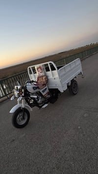 ستوته دايوان ٢٠٢١ • كله جديد • وراق كارتون