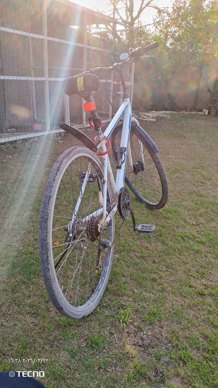 للبيعc700بايسكل
حجم27 
سعر100قفل
مكان دورة ابودشير
***********
