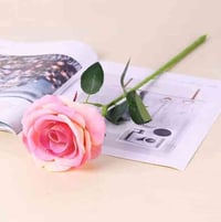 وردة جوري • هدية راقية • هيت حي العمال