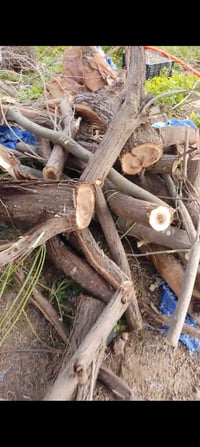 حطب • للشوي • للبيت