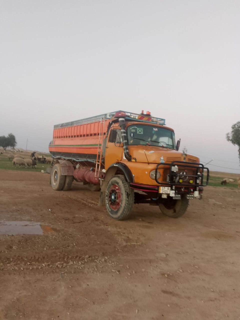 سلام عليكم البيع قجمه البيع موديل 81 سياره جاهزه مكينه ستندر كير 25 عادي شاصي خام متاور ثاني يوم الهاتف ***********
