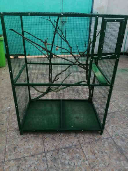 قفص طيور حب شغل حديد عرض متر ارتفاع ١٢٠ نزال ٦٠ السعر ٥٠ رقم *********** البصرة
