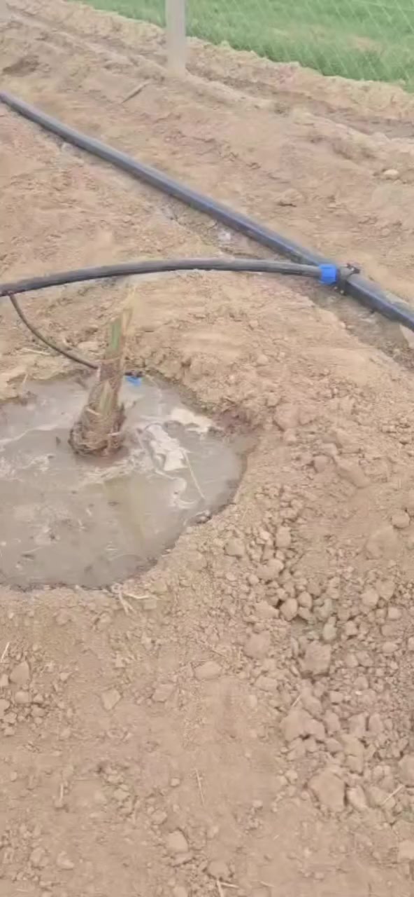 السـلام عليـكم
👷 كادر مختص لتنصيب منضومة التقطير والمرشات
📐 نعمل بأحدث الطرق المتميزه
⚒️ نستلم العمل بالمقطوعه + كرسته وعمل
💦مستعدون لتقطير المزارع والبساتين والحدائق.....
🔨 دقـه . التزام . تنفيـذ
📞 للتواصل ***********
