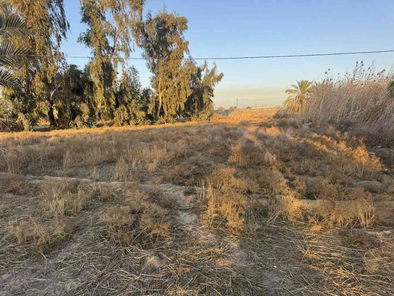 سلام عليكم ارض طابو للبيع المساحه 30 دونم سند مستقل بأسم شخص واحد الارض مكانه حلوه يوجد فيه كهرباء+ماء وكافّة الخدمات تصلح مجمع سكني او شاليات العنوان طريق كربله نجف طريق مفرك الكفل عمود 350 
استفسار.   ‭***********
