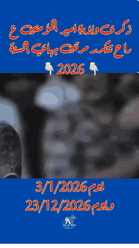 السلام عليك يا امير المؤمنين 
مكتبة وتجهيزات ابو حسام الإبراهيمي  توصيل لجميع المحافظات✨5000 جملة - مفرد للاستفسار والطلب مراسلتنا على الصفحه  أو  للطلب الأسرع على الواتساب *********** العنوان / النجف - الولاية  شارع السور- ساحة الجملة القديمة اللي تصير مقابل صادق البصراوي و خلف عمارة الجيلاوي قرب سوق السمك #إكسبلور 
#اكسبلور_فولو #الشعب_الصيني_ماله_حل😂😂
