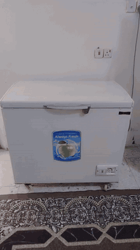 مجمده حجم  14 قدم  كونكورد لبناني حجم وصط فول تجمبد تشتغل موولد ووطني شرط   سعر 210   ذا مو فول تجميد لا تاخذوها  مكان كربلاء حي الميلاد للاستفسار ***********
