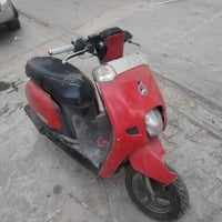 بطة • منغولي • مراوس