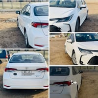 كورلا هايبرد • ٢٠٢٥ • الفلوجة