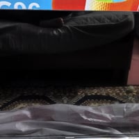 للبيع | تلفزيون NEWLG96 أندرويد 4K – 50 بوصة 🔥 🔹 الموديل: 5200 🔹 الحجم...