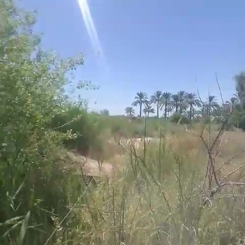 هاي بالكطنيه  واسط وجه شط دونمين سند 25 زراعي وشارع ٨٠ متر سعر الدونم 55 مليون وبيه مجال للتفاوض قريبه ع شارع العام ٣٨ دونم
للاستفسار على رقم ***********

