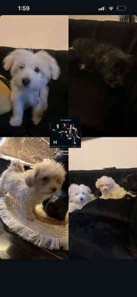 غراض للبيع سيديه 07731296452