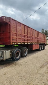 شاصي محلي • ١٢٫٥م • موصل