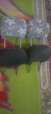 تكايات سيارة • غير محددة • ناصرية مركز