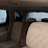 سازوكي • ٢٠٠٨ • الفلوجه