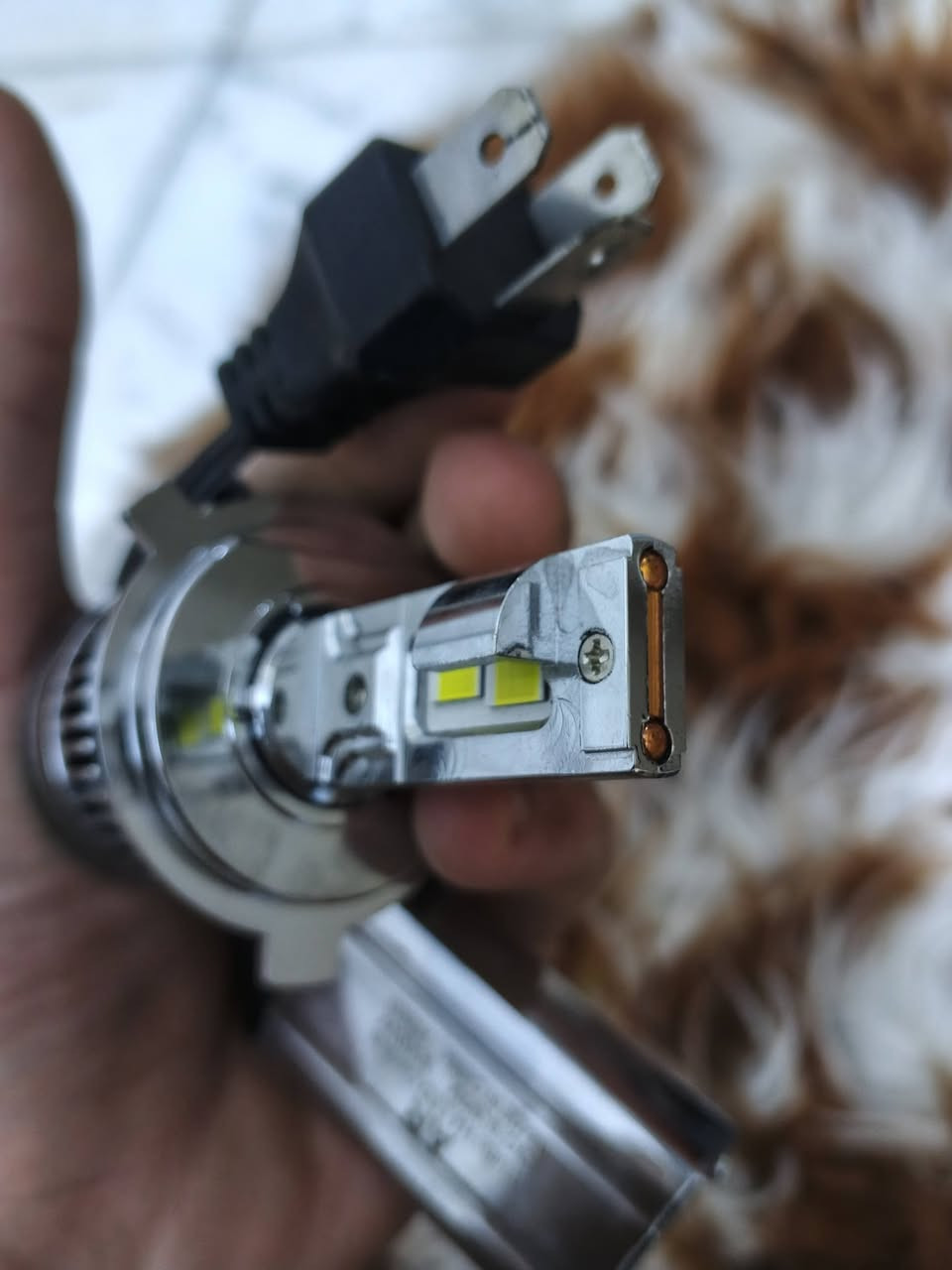 شباب دهن اصلي هوا ودبه تاخذه زرف مابيها ب12 

بك لايت بطه شخط مابي ب10 

زنون شرط العمي عالي رماش ناصي اطفاء 60 اصلي أبو مروحه منظومه

حي العامل مكاني متواجد خاص


**إذا كنت صاحب هذا الإعلان وتريد حذفه لأي سبب، رجاءا أرسل رسالة إلى الدعم الفني**