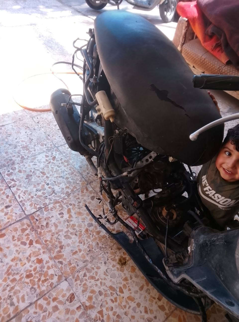 سلام عليكم تفصيخ سكنس فحل نوزل مجفته جديده  كفرات جدد  ضفيره جديده كله شغال. تفصيخ ابيع فقط ***********
