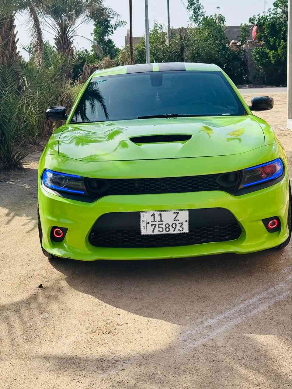 جارجر 2019 فائة RT  دخول جديد ةتاب ضباط رقم بغداد بسمي لون مميز تفاحي  جاهزه معوزها شي مكان ذي قار ناصرية, ذي قار


**إذا كنت صاحب هذا الإعلان وتريد حذفه لأي سبب، رجاءا أرسل رسالة إلى الدعم الفني**