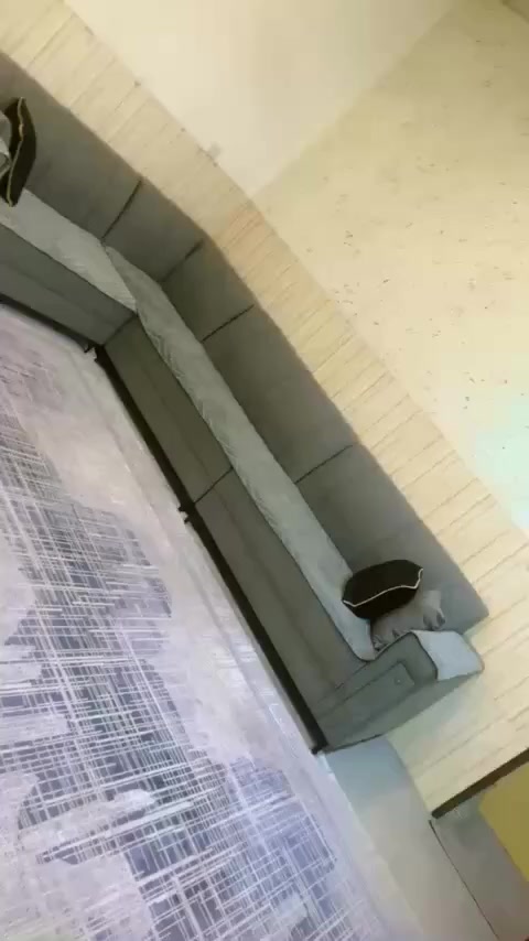 سحری بەلاش بەلاش نوئ نوئیە وبئ حەیبە  هەولیر ٥ مەتر


**إذا كنت صاحب هذا الإعلان وتريد حذفه لأي سبب، رجاءا أرسل رسالة إلى الدعم الفني**