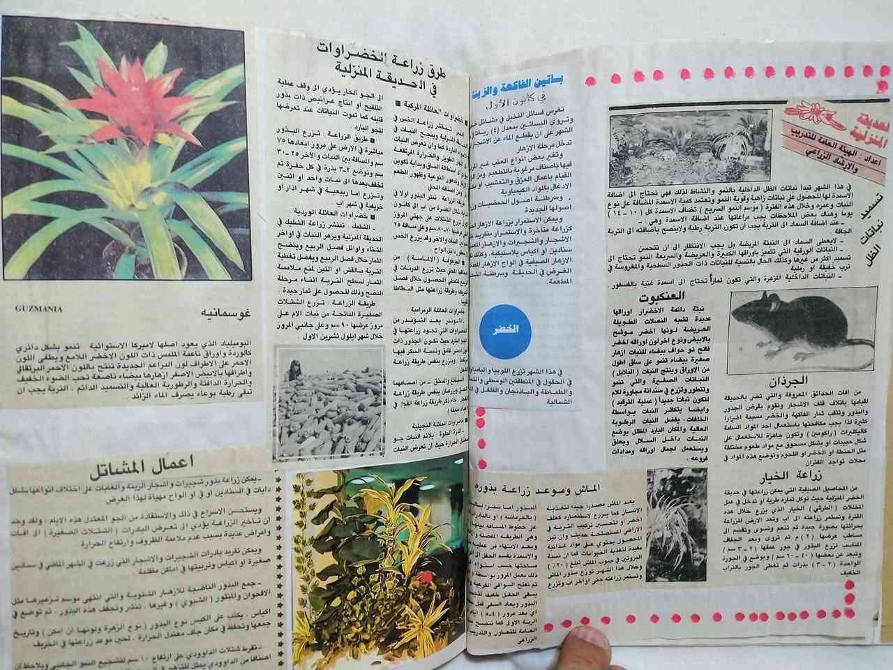 للبيع لاصحاب الانتيكا والحدائق ... 
البوم مجلد كبير  انتيكا شغل يدوي ٢٦×٢٠سم من ٤٠ صفحة يضم ٢٠٠ موضوع عن زراعة الحديقة المنزلية وكيفية زراعة الزهور باسمائها وبانواعها والاشجار والخضروات على شكل قصاصات لصق من عشرات الصحف العراقية منذ الثمانينات  نشرها مهندسون زراعيون.
السعر ٢٥ الف 
يوجد توصيل لكافة المحافظات.
للتواصل خاص او واتساب ***********

