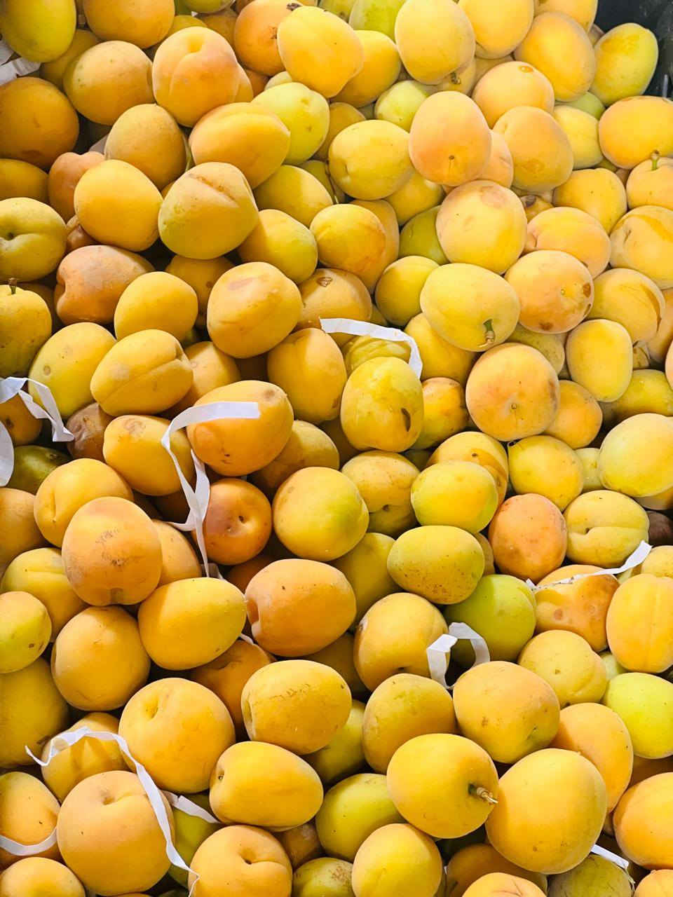 (بسم الله الرحمن الرحيم )

         اسعار يوم الاثنين
 واتساب 
***********
عروض اليوم
،،،،،،،،
كرزيه ب 1250

 طماطه درجه اولى 🍅ب750 ،3،الفين
باميه عراقيه تازه ب5000
بصل كرستال   ب  750 ،  3بالفين
بصل اصفر عراقي ب750 ،3بالفين
تعروزي عطروزي عراقي ب لا يوجد
اسود  درجه اولى ب 750 ،3 بالفين
خيار عراقي تازه🥒 ناعم ب 1000
شجر عراقي.  ب 1000
بطاطه ربيعيه درجه اولئ 750
بطاطه حمره حلوه ب  1000
جزر تركي وزن كيلو ب 1000
باكله غصن ب 1000
فلفل 🫑 بارد درجه أولى ب 1000
فلفل مزحلق بارد درجه اولئ 1000
فلفل الوان علبه ب 1000
طماطه كرزيه ب 1250
فلفل حار  🌶️، ب 1500
ثوم عراقي ب3000
ثوم شريط ب 1000
ثوم 🧄 فل وزن كيلو ب 4000
فطر علبه 1500
الفواكه،،، 
بطيخ درجه اولئ ب 1000
رقي درجه اولئ ب 750 حكه 3000
موز درجه اولئ  🍌ب 1،750
لالنكي مصري  🍊 1500
خوخ  صوفي درجه اولئ 2500
خوخ مسكي علبه ب 2000
مشمش عراقي ب 2500
تفاح عراقي صغير ب 750 
تفاح احمر درجه أولى 🍎ب 1250
تفاح اصفر درجه ارلئ 🍏ب 1250
برتقال مصري درجه أولى ب1250
برتقال لبناني درجه اولئ 1000
ليمون إفريقي 🍋ب3500
كيوي وزن كيلو ب 1500
تمر جيس عادي ب  1250
سلك. لباكه ب 1000
ورق عنب، باكه ب 1000
بربين،  باقه 500
خضره 10 ب الف 
فجل حلقومي احمر باكه 500
فجل ابيض باقه 250
شبنت باكه ب 500
طرشي احمر ب2500
خل ابيض دبل  ب 1000
خل اسود دبل ب 1000
علوة الطائي للخضار والفواكك
