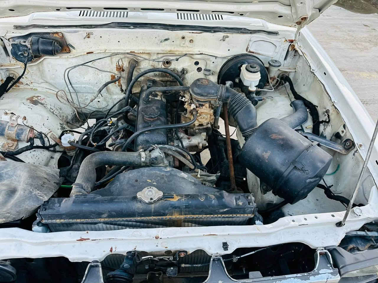 تويتا بيكاب تك موديل 1982
حزام سبوخ لسر جوانى كراوه سقفى بوياخ نيه
تايه تازه سنوى رقم اصلى  ساحب سنوى مردوه جوار تايه لوك نوقسانى هيج نيه زور جوانى ماوتوه 
سعر 35 ورقه و كميك مامله 
 نوقسانى هيج نيه مكينه و گير بشرته *********** كالار, السليمانية
