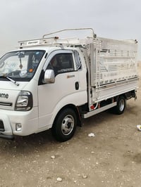 فحل للبيع موديل 2022 الشراي يتصل 07842767584