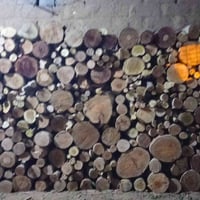 خشب • بيع كامل • حمل كيا كالبتوس