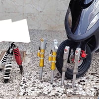 دبلات • فحل • ماكس