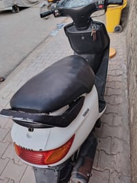 فراشة • جديدة • مستعجل