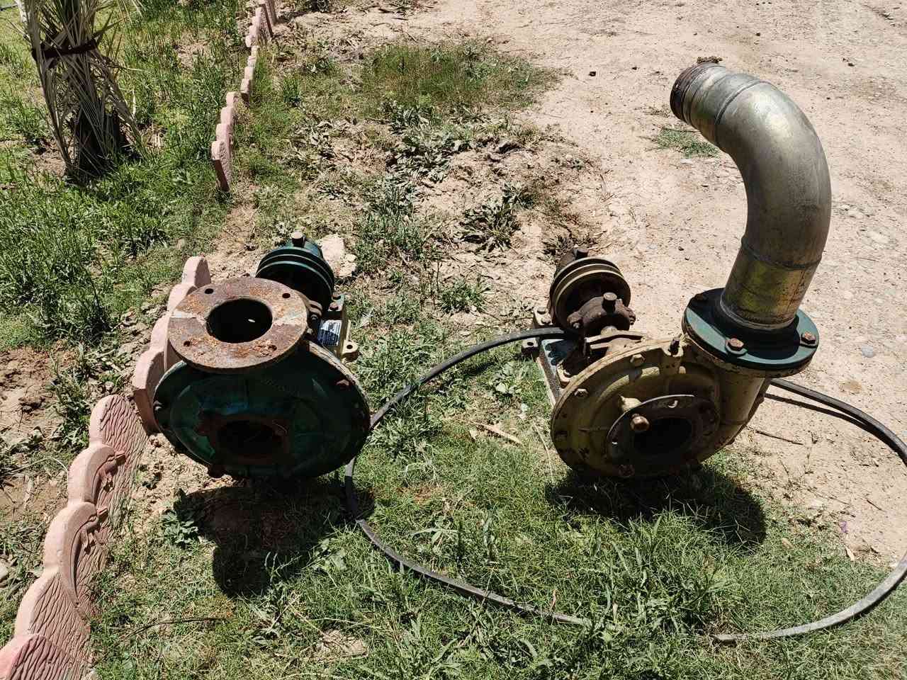 سلام عليكم خنازير للبيع شغالات نضيفات للاستفسار ***********
