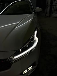 كادنزا • ٢٠١٩ • مكفولة