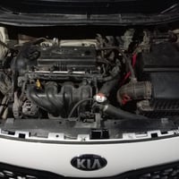 ريو • ٢٠١٣ • فلوجه