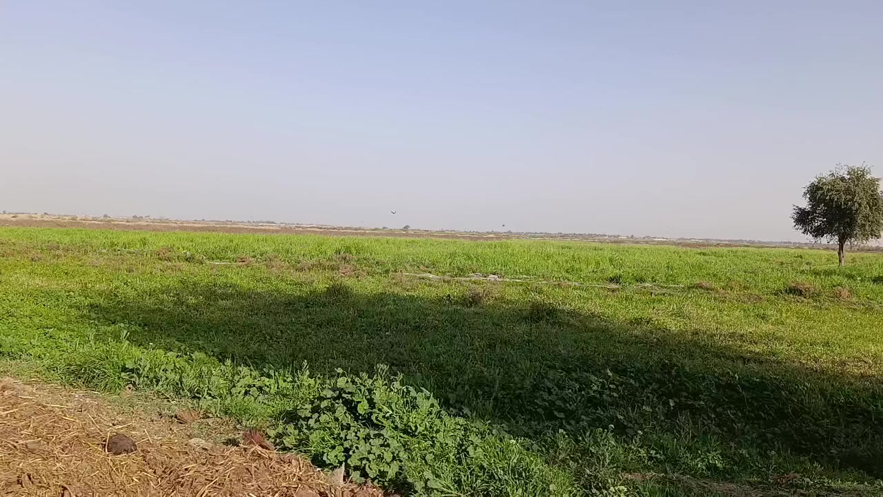 السلام عليكم،،،
ارض زراعي للبيع،المساحه35دونم+بيت ونخل40،ماءكهرباء شارع تبليط وشارع ترابي العنوان قظاءالشطره ع جيهت حي الزهراء تعبر سيدعقيل السعر97 مليون وبيها مجال للستفسار ع الرقم فقط***********
