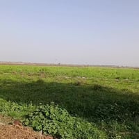 أرض زراعي • ٣٥ دونم • بيت ونخل٤٠