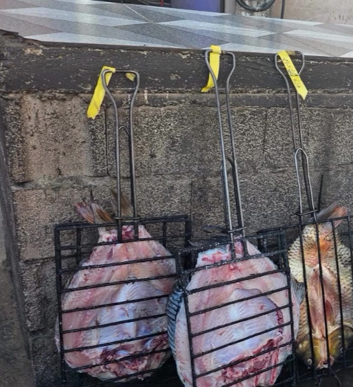 بسم الله ماشاء الله 
سمك اقفاص فول ومكفول جميع الأوزان 
سعر الكيلو مشوي وكامل ب 6500 فقط 
سعر الكيلو بدون شوي ب 5000 فقط 
دجاج ذبح على الحطب سعر الدجاجة 12 فقط 
أتصل وتدلل 
***********
***********
